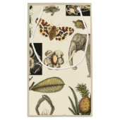 Petit Sac Cadeau Animaux agressés peints sur Arrière - plan de crèm (Dos)