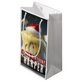 Petit Sac Cadeau Anniversaire sur le thème du blanc de neige (Devant Angle)