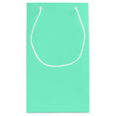 Petit Sac Cadeau Aquamarine uni (Dos)