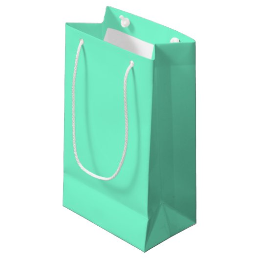 Petit Sac Cadeau Aquamarine uni (Devant Angle)