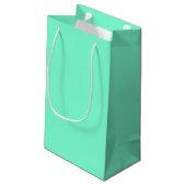 Petit Sac Cadeau Aquamarine uni (Dos Angle)
