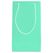 Petit Sac Cadeau Aquamarine uni (Devant)
