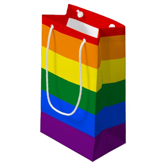 Petit Sac Cadeau Arc-en-ciel LGBT Pride (Devant Angle)