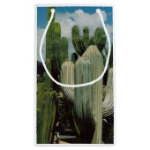 Petit Sac Cadeau Arizona Cactus (Dos)