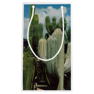 Petit Sac Cadeau Arizona Cactus
