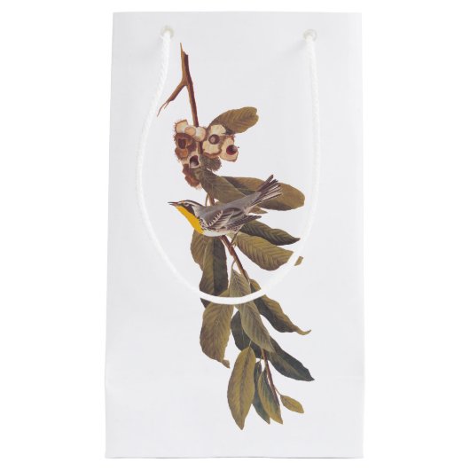 Petit Sac Cadeau Audubon Jaune Paruline Chanson Oiseau (Devant)