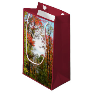 Petit Sac Cadeau Automnes Arbres et Ciel bleu Automne Photographie 