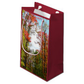 Petit Sac Cadeau Automnes Arbres et Ciel bleu Automne Photographie  (Dos Angle)