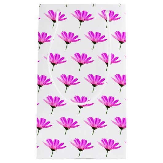 Petit Sac Cadeau Baise rose (Devant)