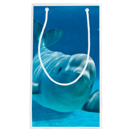 Petit Sac Cadeau Baleine de beluga (Devant)