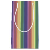 Petit Sac Cadeau Bandes arc-en-ciel coupées (Devant)