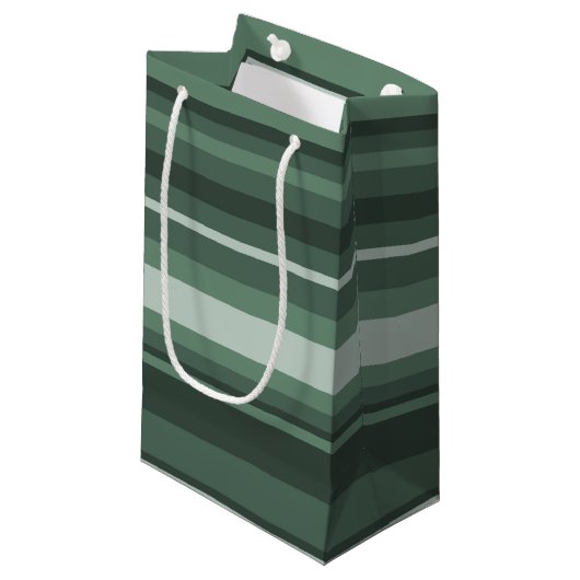Petit Sac Cadeau Bandes vertes (Devant Angle)