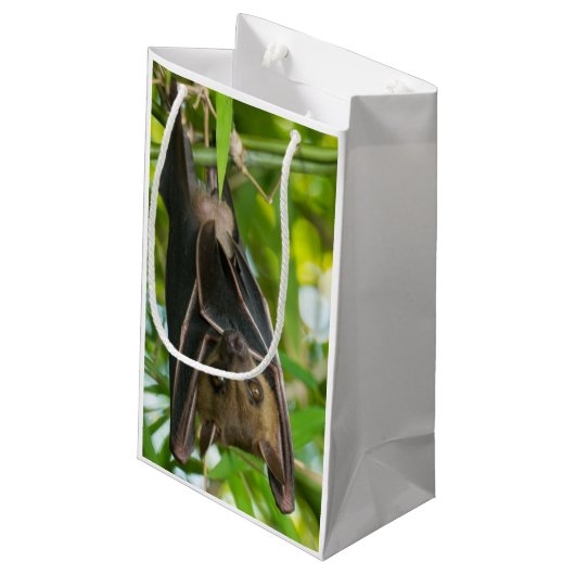 Petit Sac Cadeau Batte (Dos Angle)