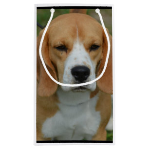 Petit Sac Cadeau Beagle adorable