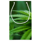 Petit Sac Cadeau Beau Plante (Dos)