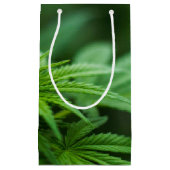 Petit Sac Cadeau Beau Plante (Devant)