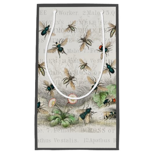 Petit Sac Cadeau Bee Honey Travailleur Queen Bees Antique (Devant)