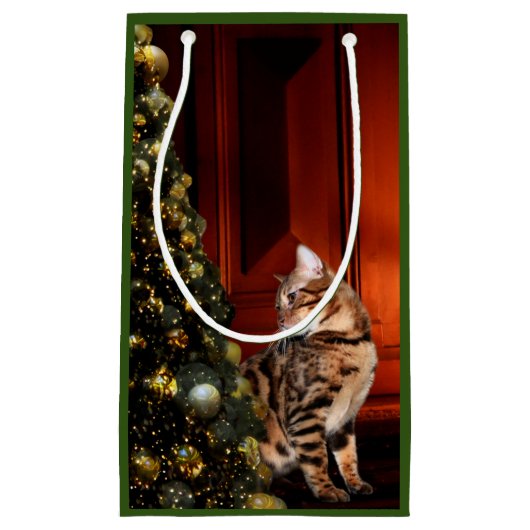Petit Sac Cadeau Bengale Kitty Noël (Devant)