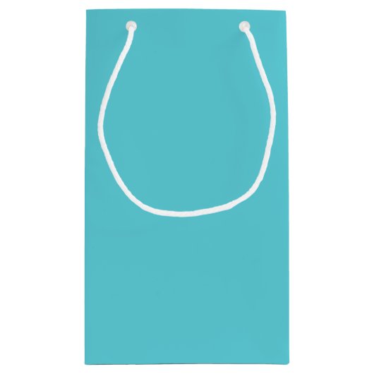 Petit Sac Cadeau Bleu d'oeuf Robin (Dos)