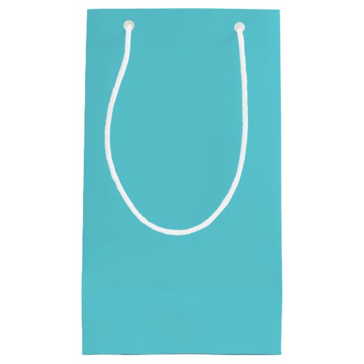 Petit Sac Cadeau Bleu d'oeuf Robin (Devant)