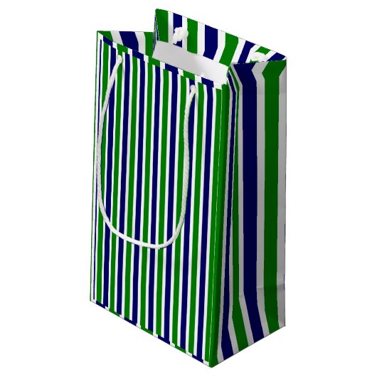Petit Sac Cadeau Bleu et vert rayé (Dos Angle)