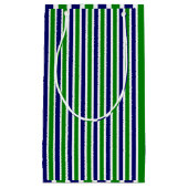 Petit Sac Cadeau Bleu et vert rayé (Devant)