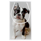 Petit Sac Cadeau Boston Terrier (Dos)