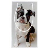 Petit Sac Cadeau Boston Terrier (Devant)