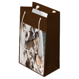 Petit Sac Cadeau Cadeau Amoureux des chats