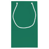 Petit Sac Cadeau Cadres photo Jade Green Fancy Swils (Dos)