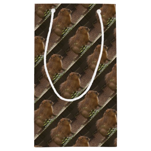 Petit Sac Cadeau Capybara (Dos)
