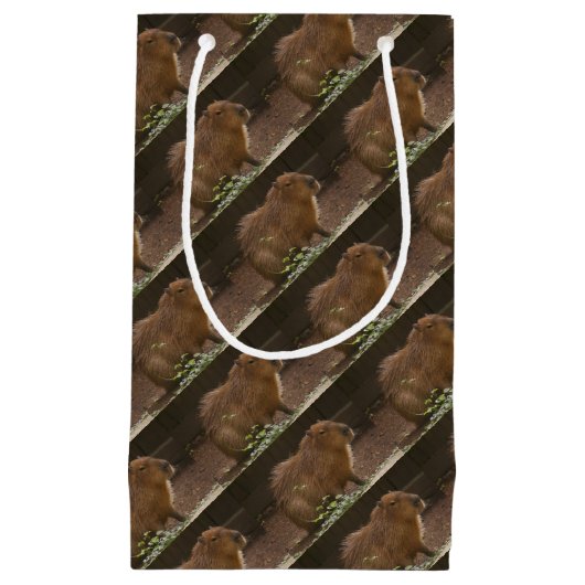 Petit Sac Cadeau Capybara (Devant)