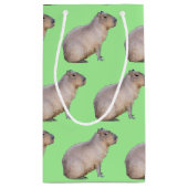 Petit Sac Cadeau Capybara (Dos)