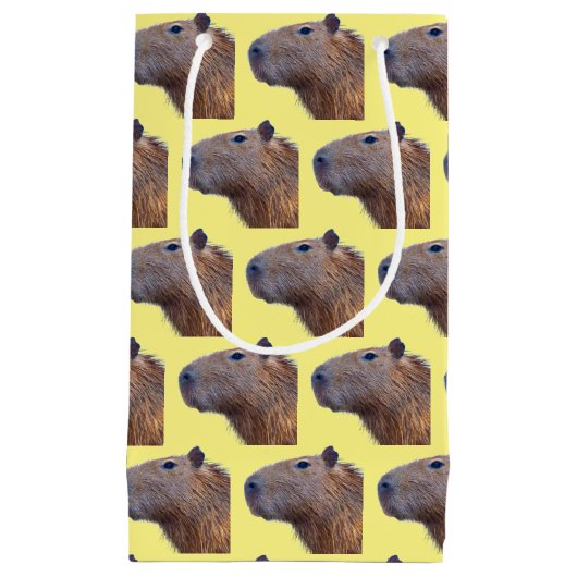 Petit Sac Cadeau Capybara (Devant)