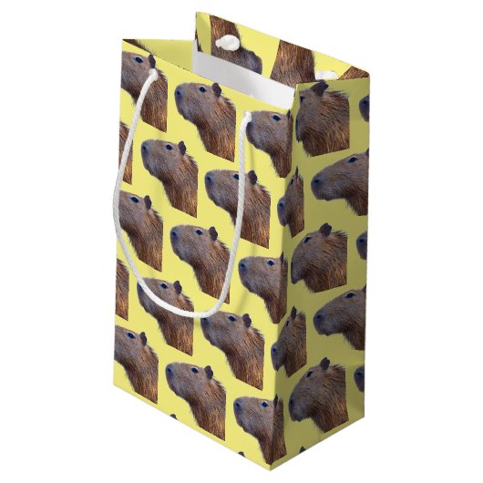 Petit Sac Cadeau Capybara (Dos Angle)