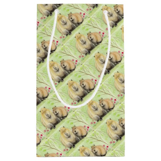 Petit Sac Cadeau Capybara (Dos)