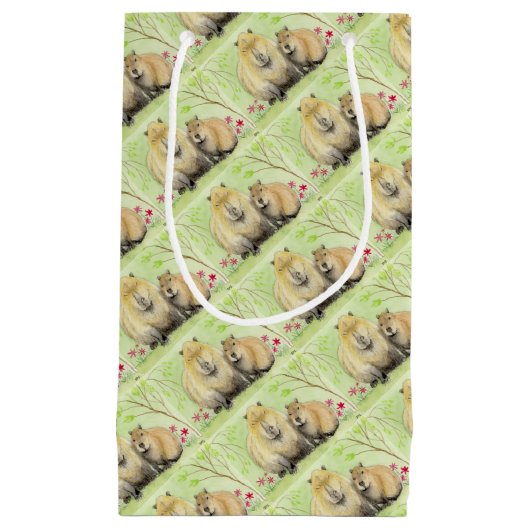 Petit Sac Cadeau Capybara (Devant)