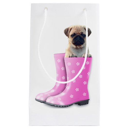 Petit Sac Cadeau Carlin (Devant)