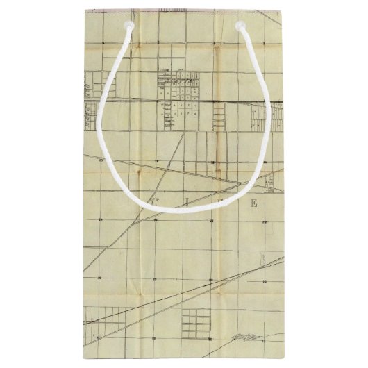 Petit Sac Cadeau Carte de Chicago (Dos)