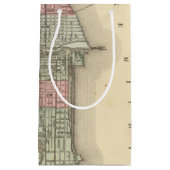 Petit Sac Cadeau Carte de Chicago par Mitchell (Devant)