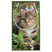 Petit Sac Cadeau Cat (Dos)