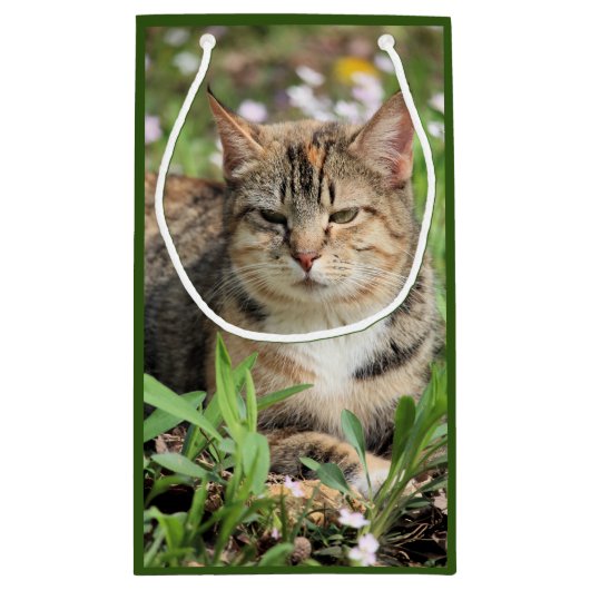 Petit Sac Cadeau Cat (Dos)