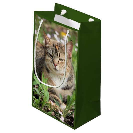 Petit Sac Cadeau Cat (Dos Angle)