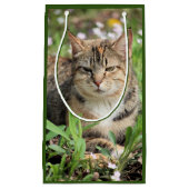 Petit Sac Cadeau Cat (Devant)