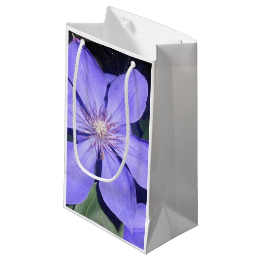 Petit Sac Cadeau Césarine (Devant Angle)