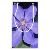 Petit Sac Cadeau Césarine (Devant)