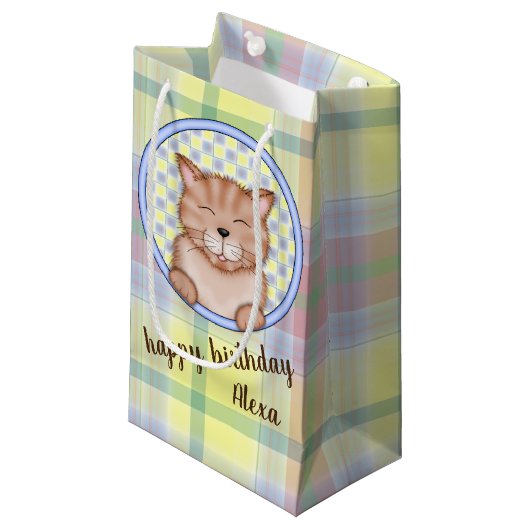 Petit Sac Cadeau chat d'anniversaire sur plaid avec nom personnel (Devant Angle)