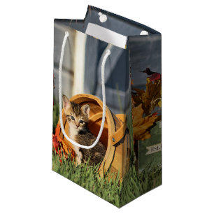 Petit Sac Cadeau Chatons de bébé dans des décorations d'automne