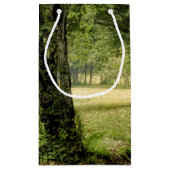 Petit Sac Cadeau Chemin dans le pays (Dos)