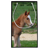 Petit Sac Cadeau Cheval (Dos)